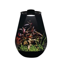 Drop 345 Zwart druppelvormig terrarium 10 liter met dimbare LED en ventilatie