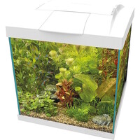 Start 30 Qube Kit | 33 x 33 x 36 cm
