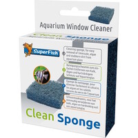 Clean Sponge