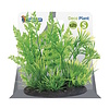 Deco Plant S