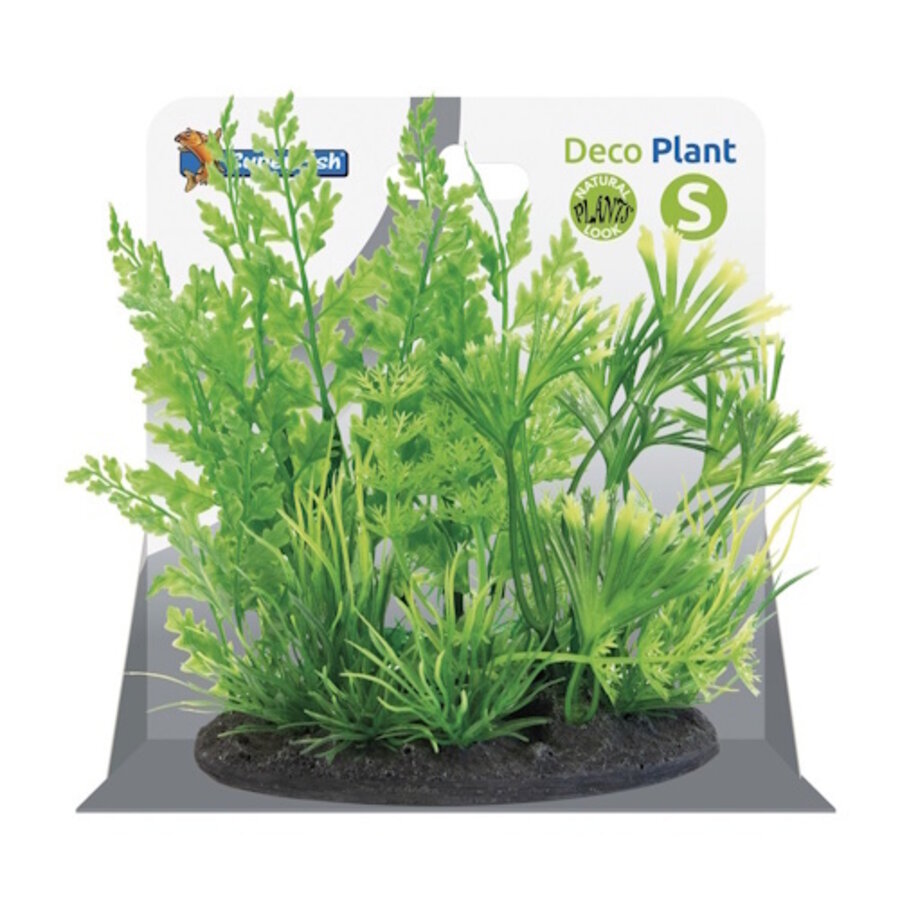 Deco Plant S