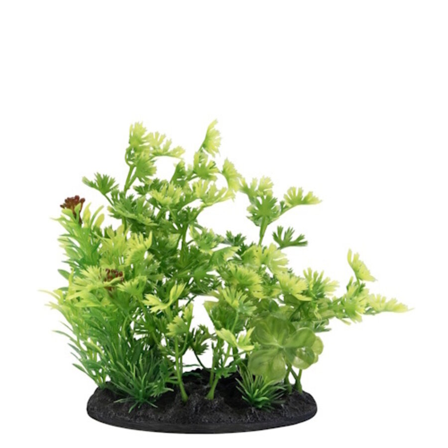 Deco Plant S