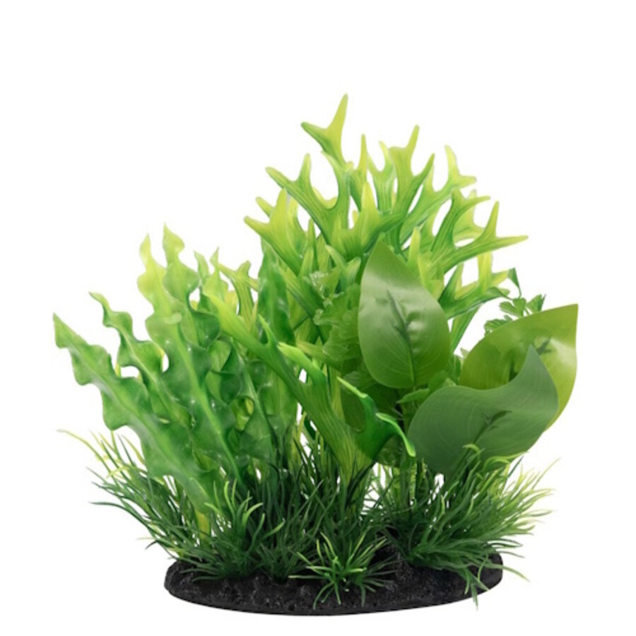 Deco Plant S