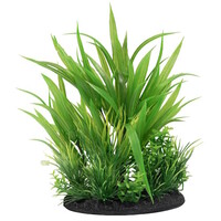 Deco Plant S