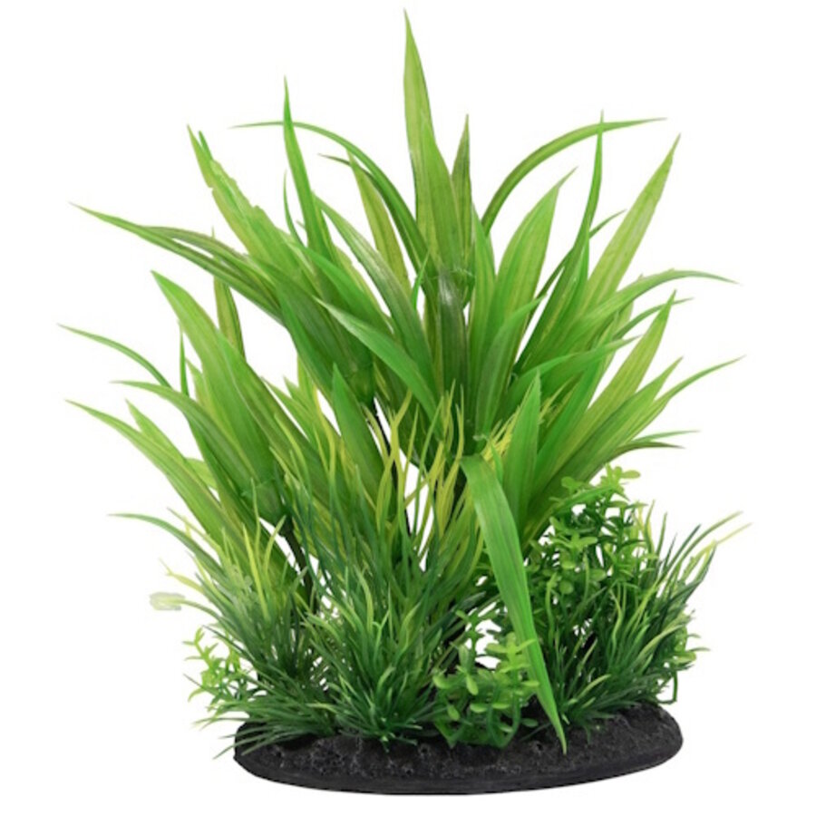 Deco Plant S