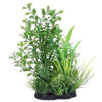 Deco Plant L
