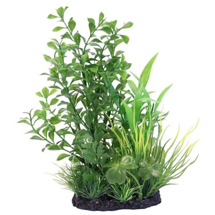 Deco Plant L