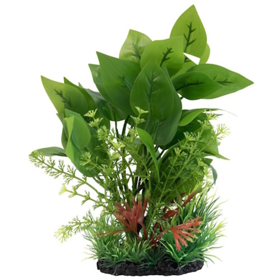 Deco Plant L