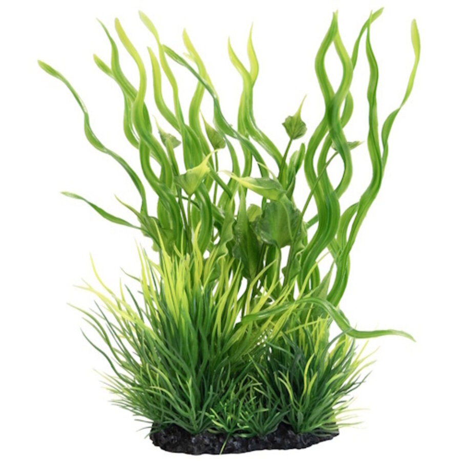 Deco Plant L