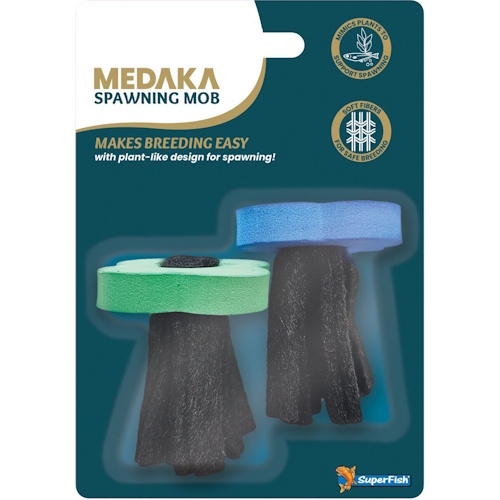 Medaka Spawning Mob