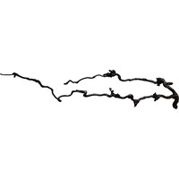 Beard Wood 60-80CM