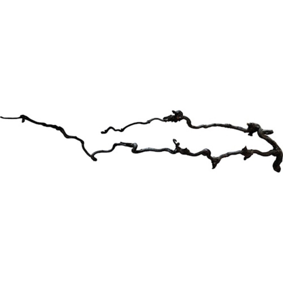 Beard Wood 60-80CM