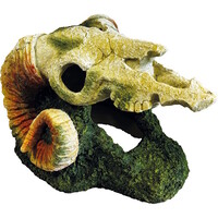 Deco Goat Skull