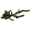 Branch S