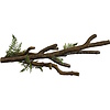 Branch XL
