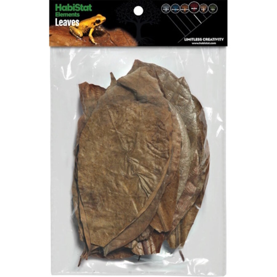 Bladeren Mix 30 Stuks voor bioactief terrarium en paludarium