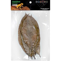 Bladeren rubber voor bioactieve terraria en paludaria 10 stuks