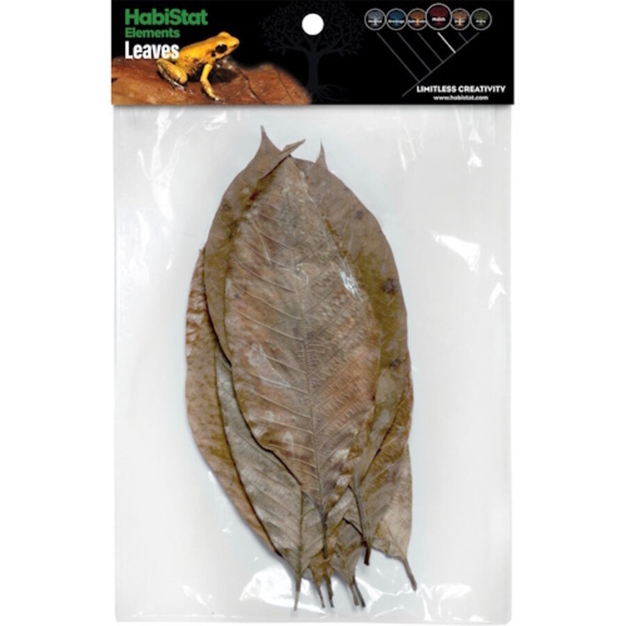 Bladeren rubber voor bioactieve terraria en paludaria 10 stuks