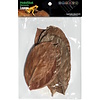 Bladeren Jackfruit 10 Stuks