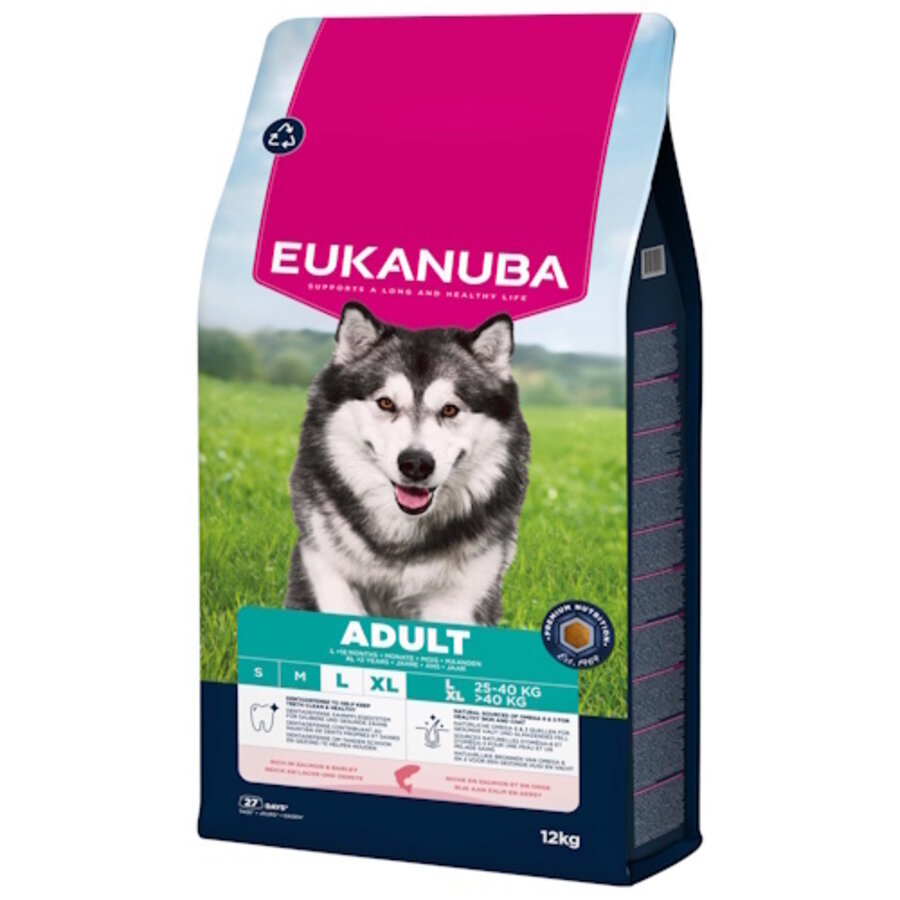 Adult Large Breed Zalm 12 kg