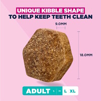 Adult Large Breed lam&Rijst
