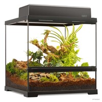 EX Pro terrarium Zwart | 45x 45x 45CM