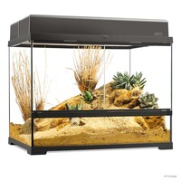 Pro Terrarium Zwart | Advanced Natural Terrarium 60×45×45 cm met 3-traps ventilatie