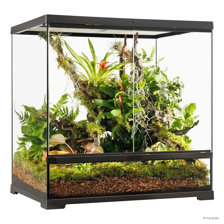 Pro Terrarium Zwart | Advanced Natural Terrarium 60×45×60 cm met 3-traps ventilatie