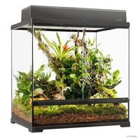 EX Pro terrarium Zwart | 60 x 45 x 60CM