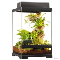 Pro Terrarium Zwart | Advanced Natural Terrarium 30×30×45 cm met 3-traps ventilatie