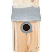 Nestkastje Voor Spreeuwen Grenenhout