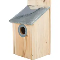 Nestkastje Voor Spreeuwen Grenenhout