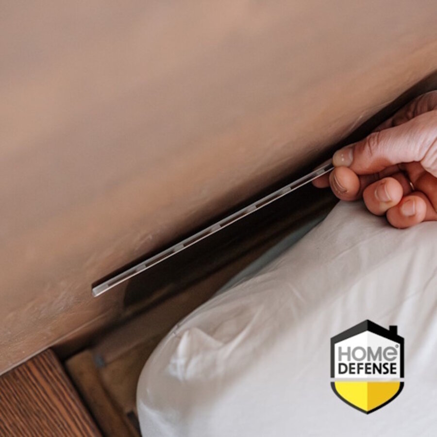 Bedwantsen lijmvallen 2 stuks