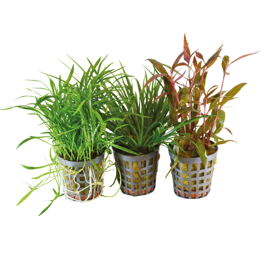 3 Stuks Combi-pack 1