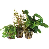 3 Stuks Combi-pack 3