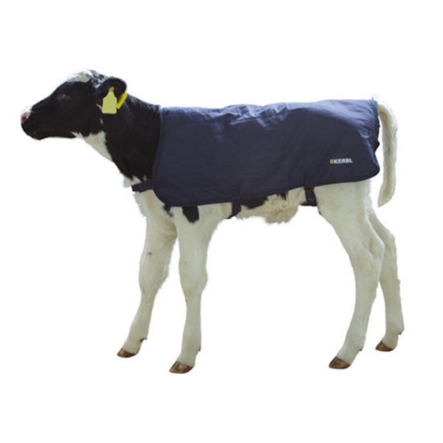 EasyWear Kalverdek blauw 70CM