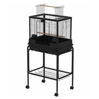 Vogelkooi Ceasar M met Standaard