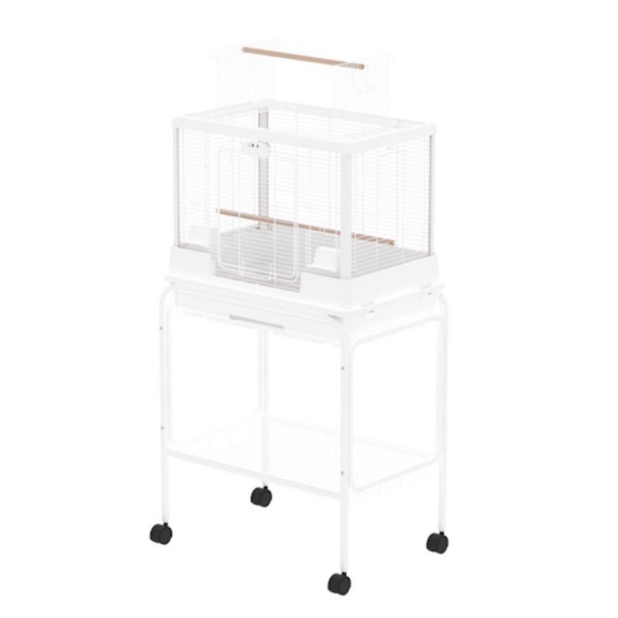 Vogelkooi Ceasar M met Standaard