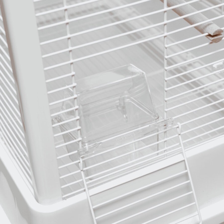 Vogelkooi Ceasar M met Standaard