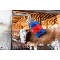 HappyCow koeborstel MidiSwing