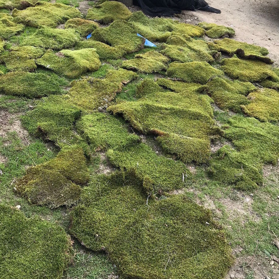 Droog mos In Doos 60x40x60cm