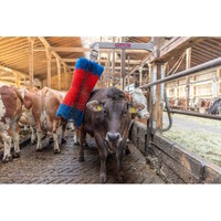 HappyCow veeborstel FreeMaxi