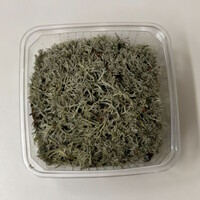 Zilvermos In Bakje +- 40 gram