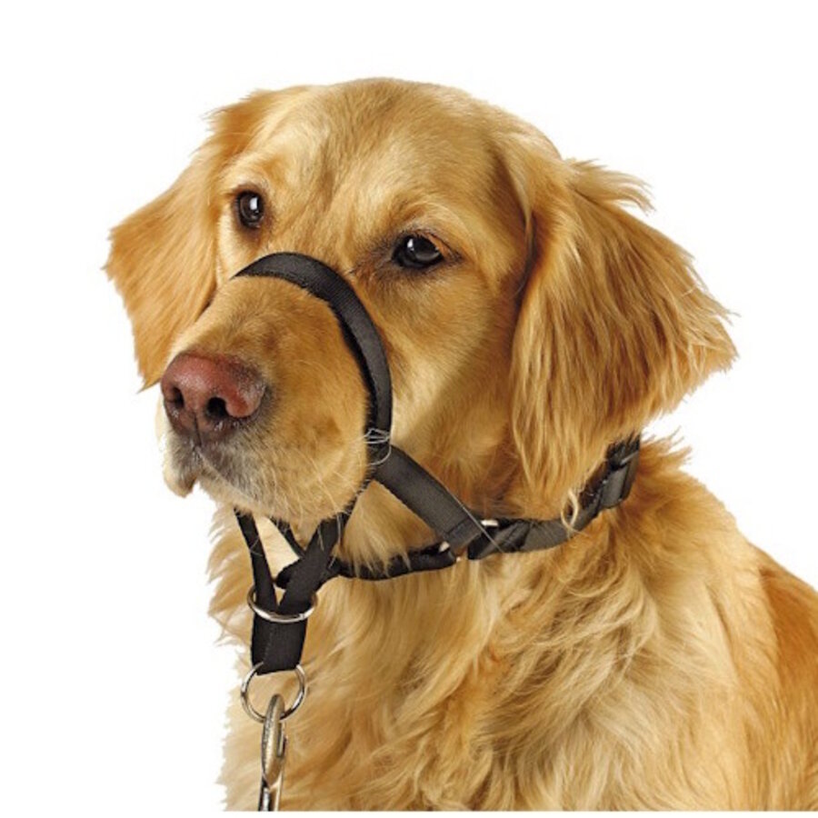 Training harnas Maxi Coach zwart | anti-trek hulpmiddel