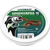 Levende Dendrobaena wormen maat M | verpakking