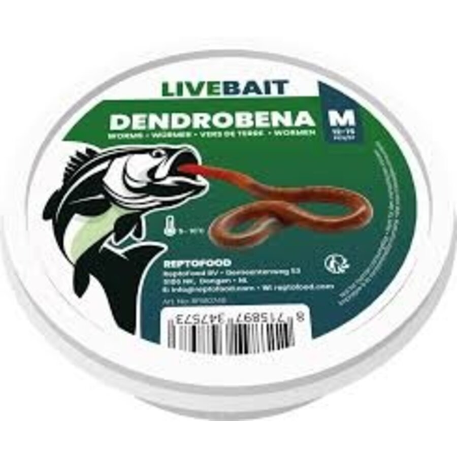 Levende Dendrobaena wormen maat M | verpakking