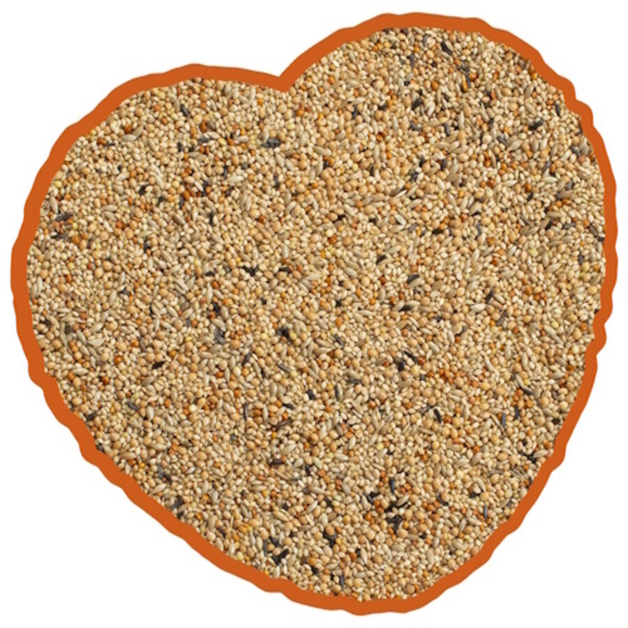 Tropische vogel mix 20KG