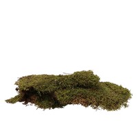 Ijslandmos Lappen 1 kg
