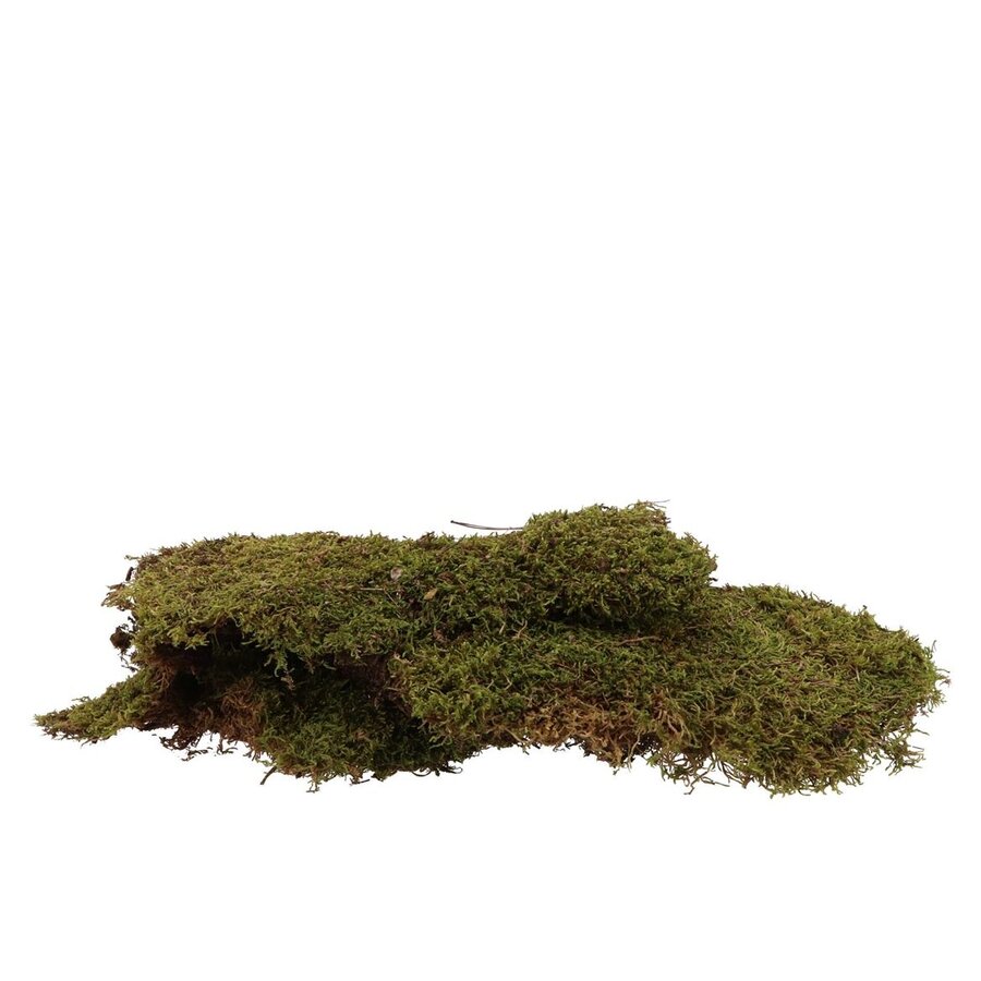 Ijslandmos Lappen 1 kg