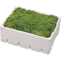 Mos Gemengd in Tempex Box 5 Liter